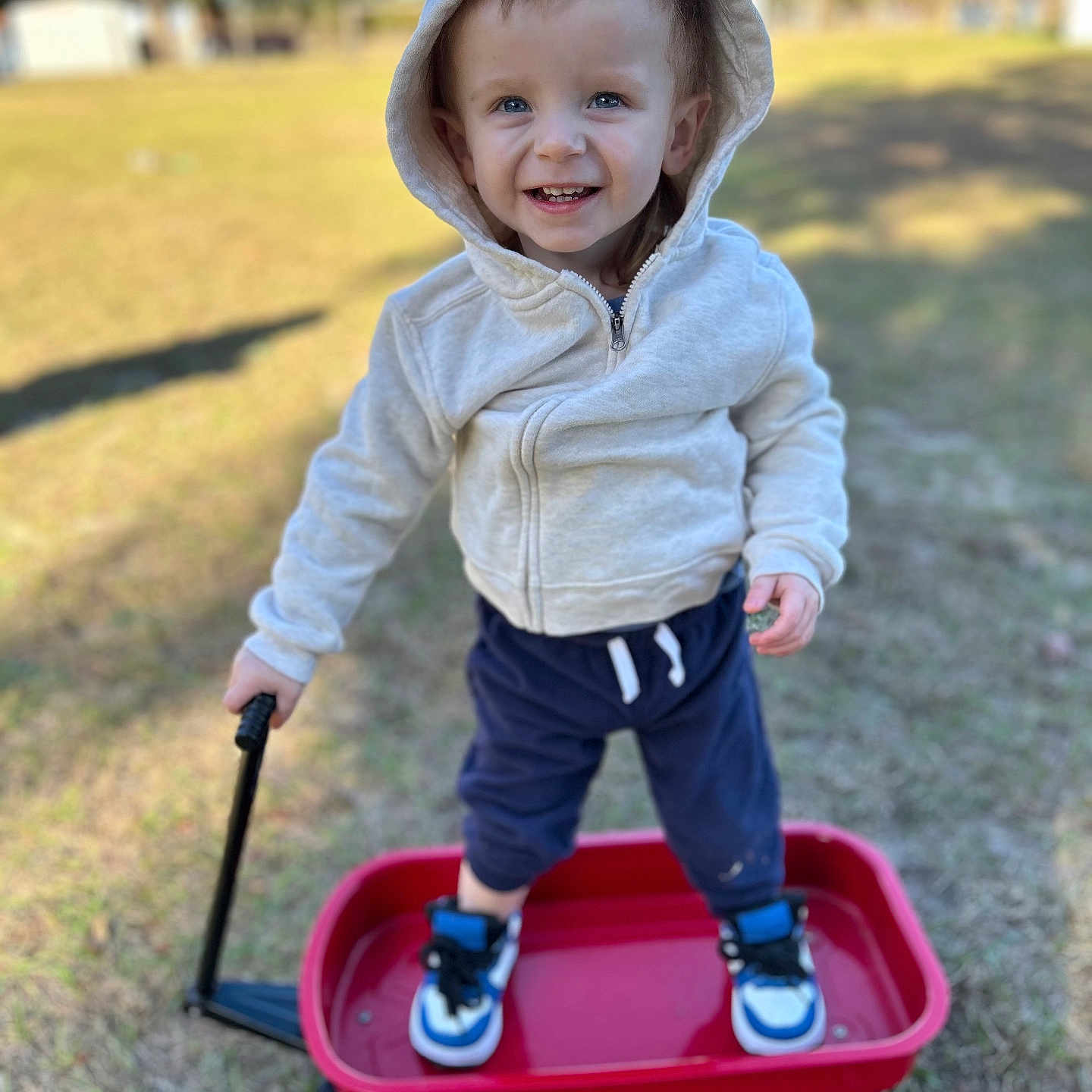 Brigzton is registered to the contest to win money with this photo: baby, clothing, coat, face, footwear, grass, hat, head, hood, jacket, pants, person, photography, plant, portrait, shoe, transportation, vehicle, wagon, walking