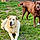 Fred And Izzy