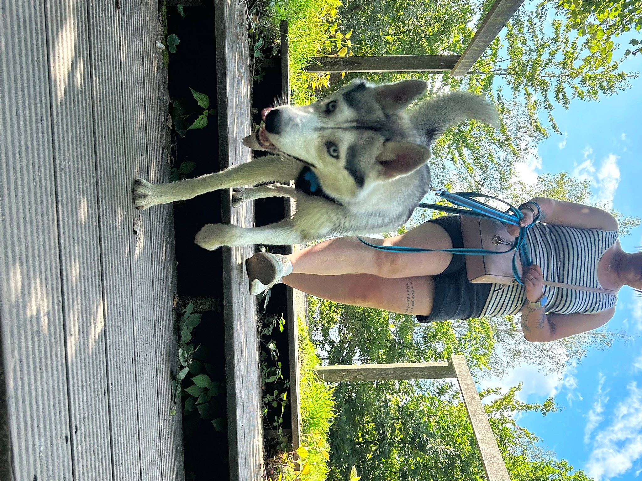 Nelko participe au concours pour gagner de l'argent avec cette photo : canidae, cloud, elbow, fun, grass, happy, leisure, people_in_nature, plant, sky, tree