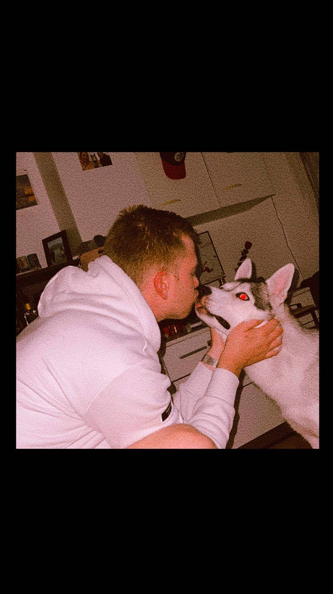 Nelko participe au concours pour gagner de l'argent avec cette photo : beard, carnivore, cat, comfort, ear, event, felidae, flash_photography, flesh, fun, gesture, happy, jaw, lap, photo_caption, room, sitting, small_to_medium_sized_cats, t_shirt, whiskers