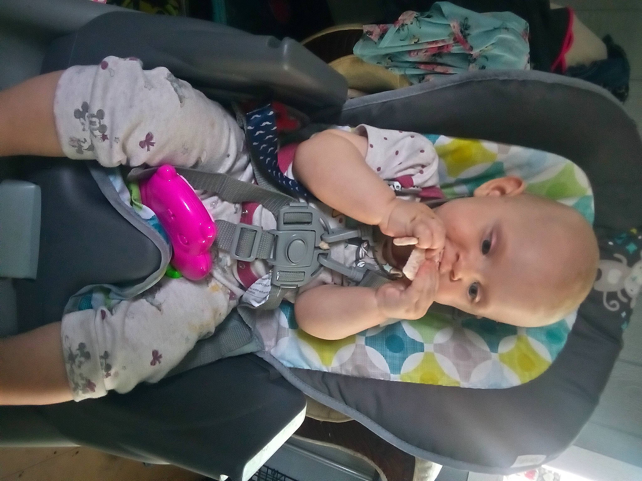 Luna joined the competition — help win amazing prizes! auto_part, baby, baby_carriage, baby_products, baby_toddler_clothing, car_seat, child, comfort, lap, mouth, nail, person, seat_belt, toddler