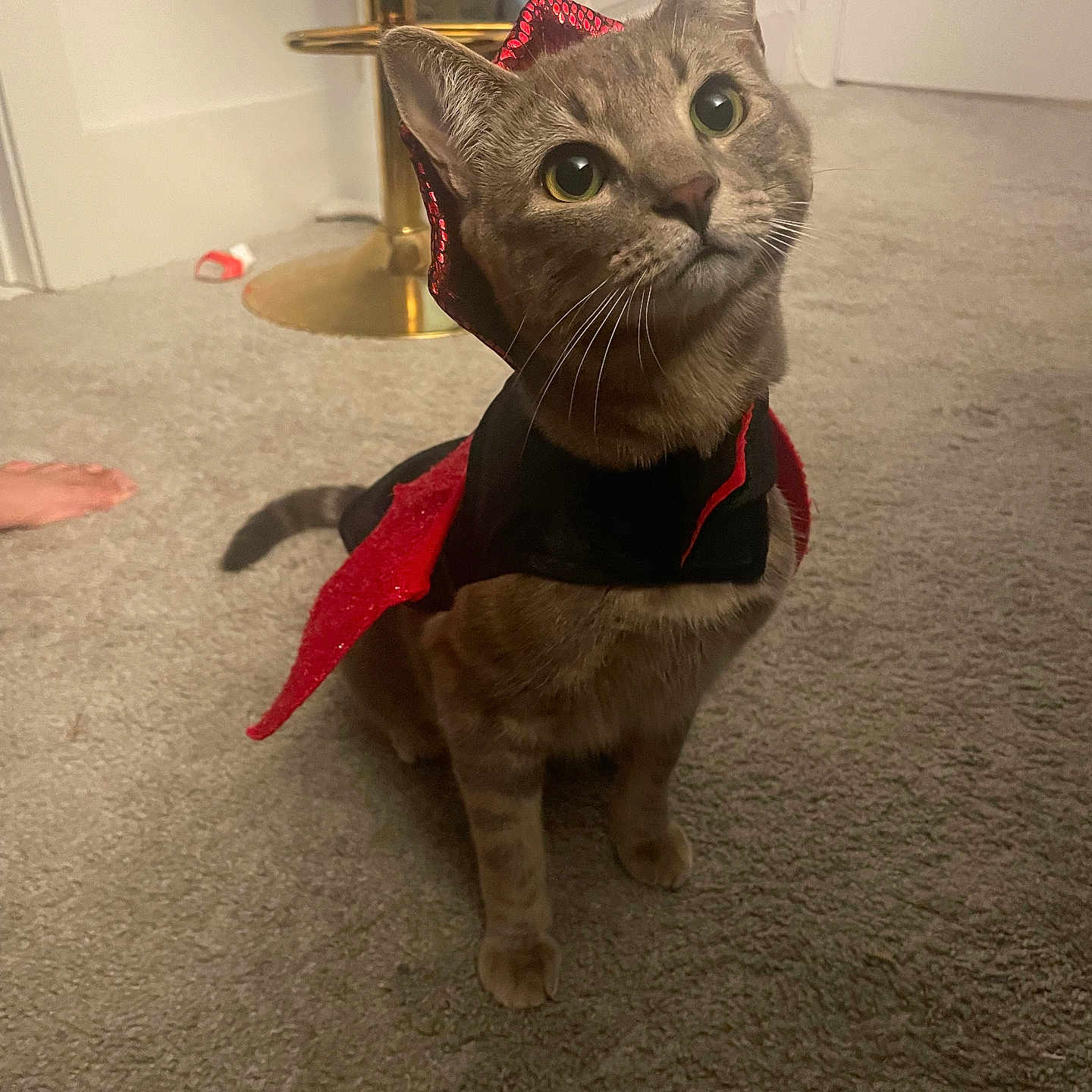 Luna joined the competition — help win amazing prizes! cat, costume, devil, red, black, carpet, indoor, pet, animal, curious, wide_eyes, lamp, foot, home, feline, cute, sitting, looking_up, whiskers, tail