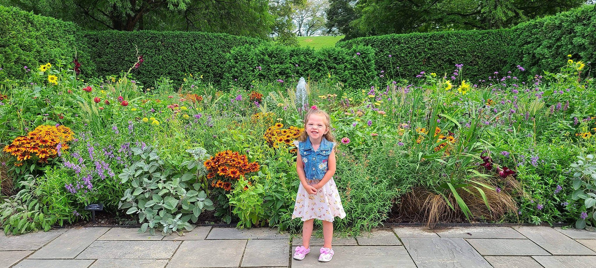 Ava is registered to the contest to win money with this photo: annual_plant, botanical_garden, botany, child, flower, garden, grass, grass_family, groundcover, herb, joy, landscaping, leisure, meadow, person, plant, shrub, spring, summer, vacation