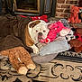 animal, blanket, brick_wall, brown_blanket, bulldog, carpet, comfort, cozy, dog, dog_bed, fireplace, home_interior, indoor, mammal, pet, pillow, pink_elephant, plush_toy, relaxation, stuffed_animal