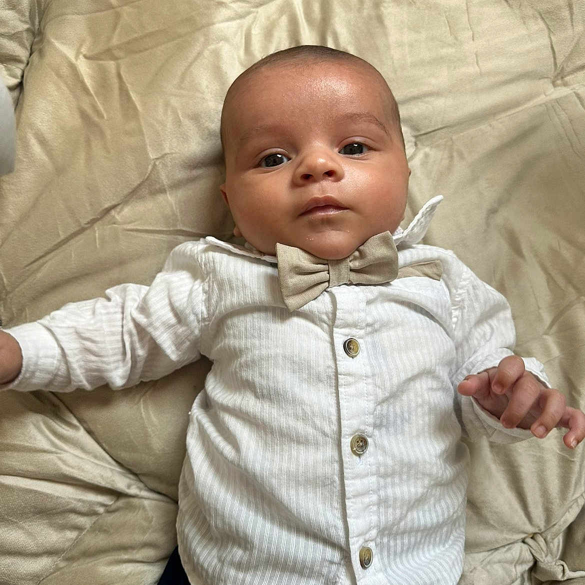 Kayden participe au concours pour gagner de l'argent avec cette photo : baby, infant, child, face, person, clothing, bow_tie, white_shirt, blanket, fabric, portrait, cute, indoors, lying_down, skin, hand, button, eyes, head, expression