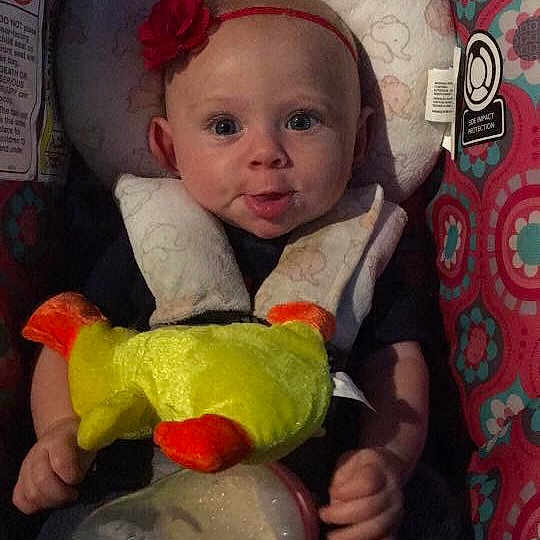 Heidi