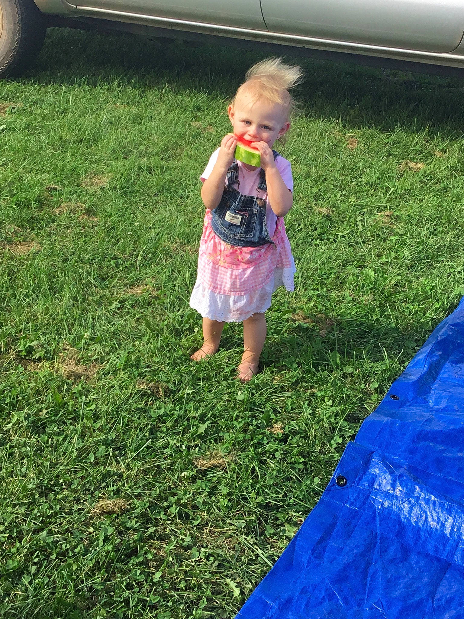 Heidi joined the competition — help win amazing prizes! child, clothing, day, dress, fun, girl, grass, green, joy, lawn, meadow, person, plant, play, recreation, summer, toddler, tree, vacation