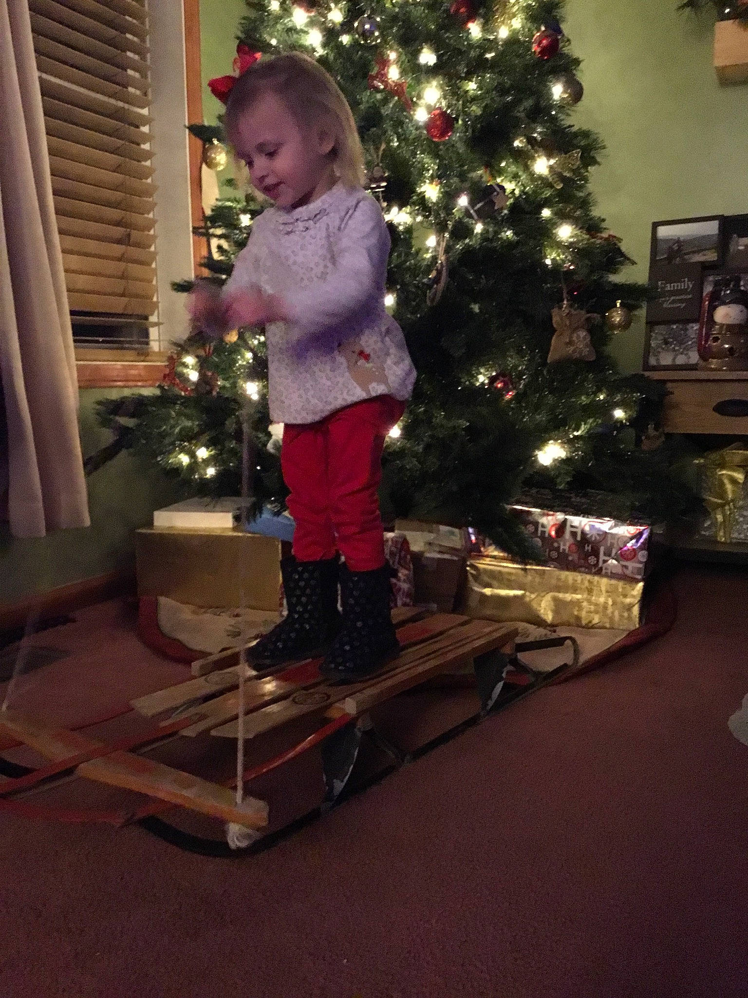 Abigail is registered to the contest to win money with this photo: christmas, christmas_decoration, christmas_tree, event, floor, flooring, girl, holiday, house, person, room, standing, toddler, tree, wood