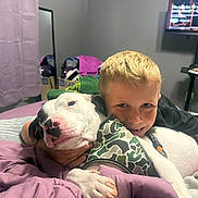 Billy is registered to the contest to win money with this photo: bed, blanket, boy, camouflage, casual, child, comfort, couch, dog, friendship, harness, hugging, human, indoor, pet, purple, relaxing, room, smiling, television