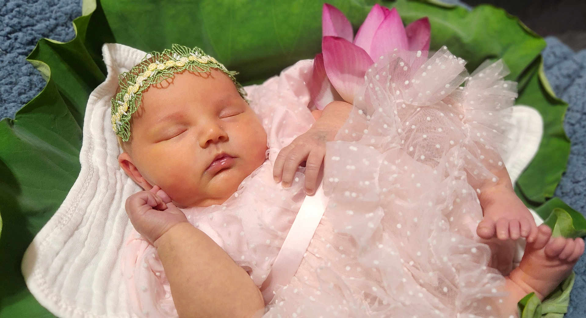 Natalie is registered to the contest to win money with this photo: baby, sleeping, pink_dress, headband, flower, leaf, soft_cloth, newborn, infant, cute, peaceful, portrait, tulle, polka_dot, hand, foot, skin, resting, closeup, nature