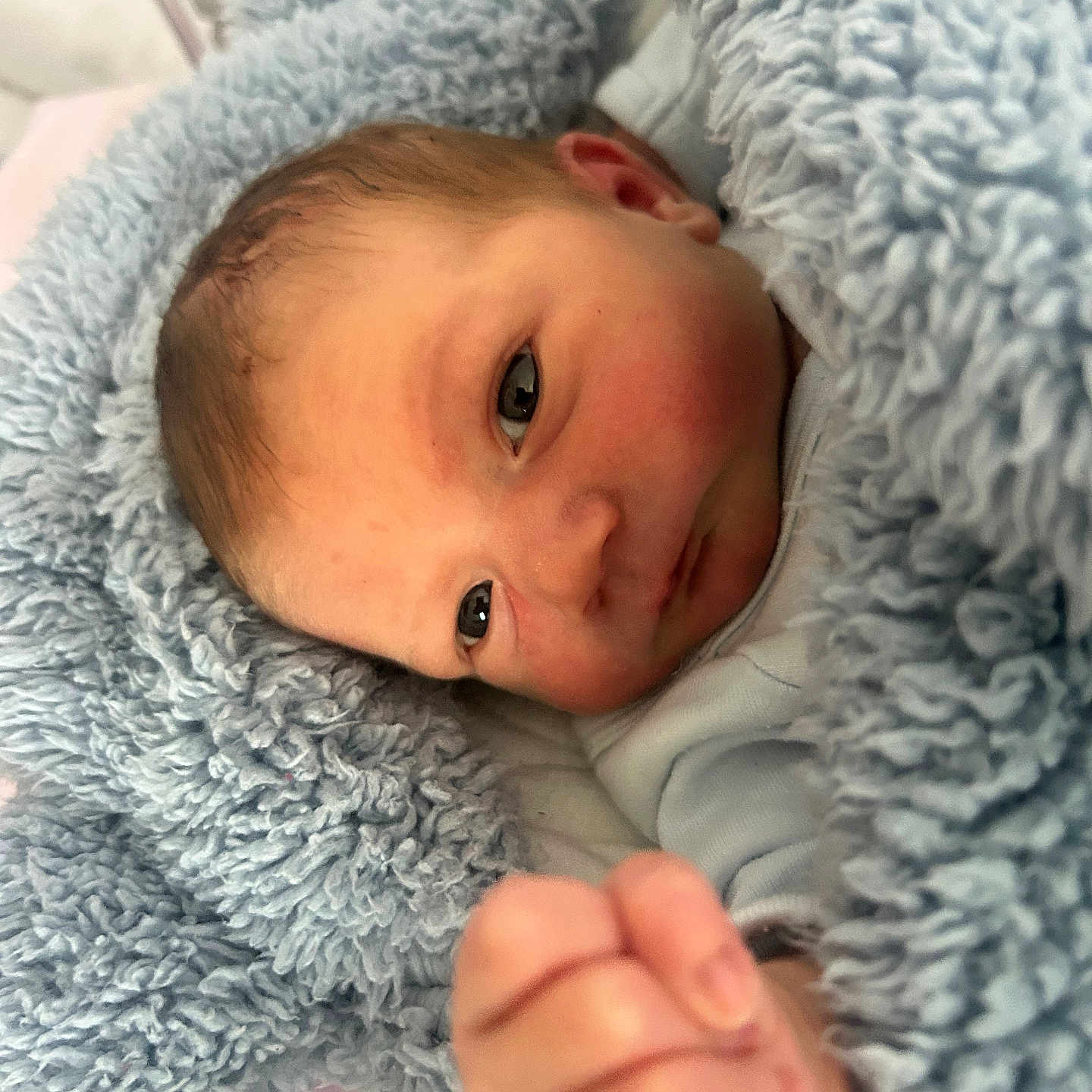 èlèna a rejoint le concours — aidez-le/la à gagner de superbes lots ! baby, blanket, blue, child, closeup, cozy, cute, expression, face, furniture, hand, indoor, infant, newborn, portrait, resting, skin, sleeping_area, soft_texture, young