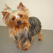 Dolly participe au concours pour gagner de l'argent avec cette photo :