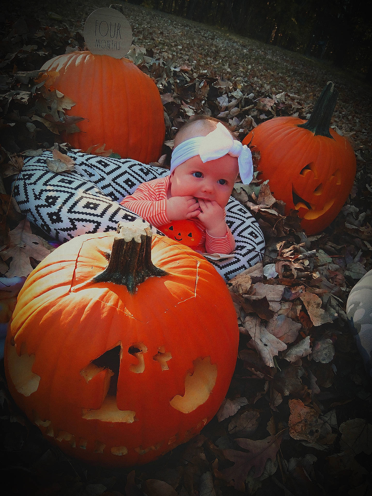 Jazmyn is registered to the contest to win money with this photo: art, black, calabaza, creative_arts, cucurbita, eye, gourd, grass, head, headwear, jack_o_lantern, local_food, natural_foods, orange, person, plant, pumpkin, squash, tints_and_shades, tradition