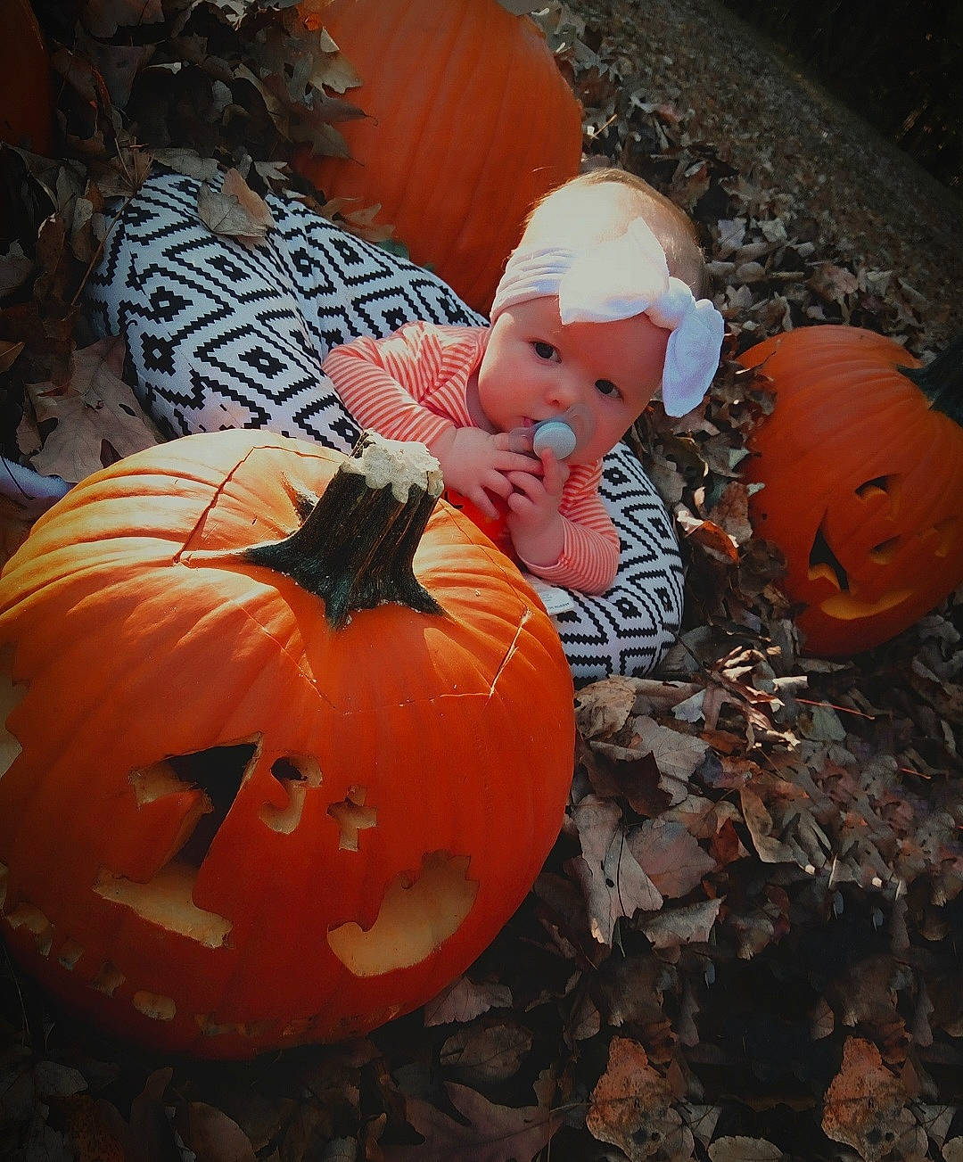 Jazmyn joined the competition — help win amazing prizes! art, calabaza, creative_arts, cucurbita, gourd, grass, headwear, jack_o_lantern, local_food, natural_foods, orange, person, plant, produce, pumpkin, squash, still_life_photography, tradition, trick_or_treat, vegetable