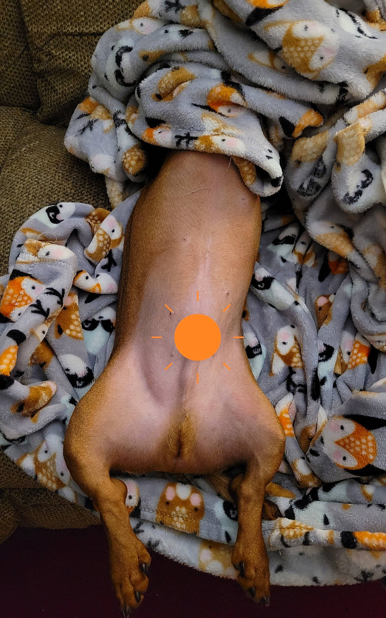 Skippy is registered to the contest to win money with this photo: arm, art, barefoot, calf, carving, chest, dress, flesh, foot, human_body, human_leg, leg, nail, plant, sculpture, thigh, toe, tree, trunk, wood