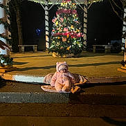 Delilah is registered to the contest to win money with this photo: baby, child, pink_clothing, onesie, sleeping, christmas_tree, holiday_lights, night, outdoor, steps, gazebo, decorations, festive, blanket, columns, person, hand, darkness, flag, winter