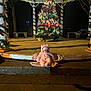 baby, child, pink_clothing, onesie, sleeping, christmas_tree, holiday_lights, night, outdoor, steps, gazebo, decorations, festive, blanket, columns, person, hand, darkness, flag, winter