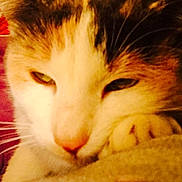 Lil-bit is registered to the contest to win money with this photo: