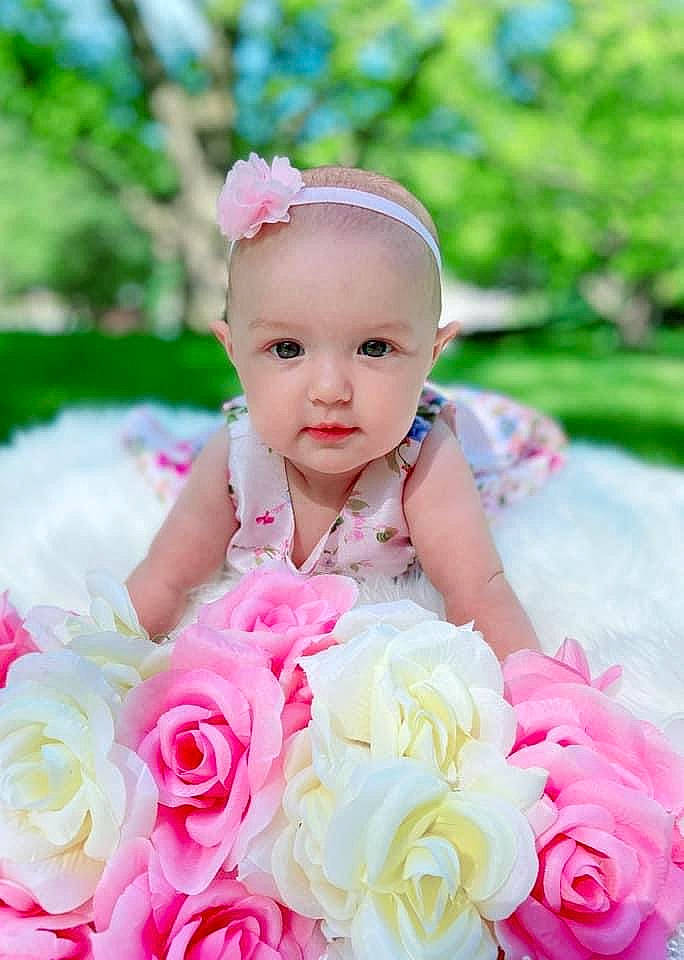 Lillian Rose joined the competition — help win amazing prizes! baby, baby_toddler_clothing, beauty, child, dress, flower, fun, grass, happy, headpiece, hybrid_tea_rose, person, petal, pink, plant, rose, skin, summer, toddler, wedding_ceremony_supply