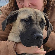 Kraze a rejoint le concours — aidez-le/la à gagner de superbes lots ! affection, animal, brown_coat, calm, candid, casual_clothing, close_up, curly_hair, dog, earrings, embrace, face, friendship, large_dog, nose_ring, outdoor, overcast_sky, person, pet, portrait
