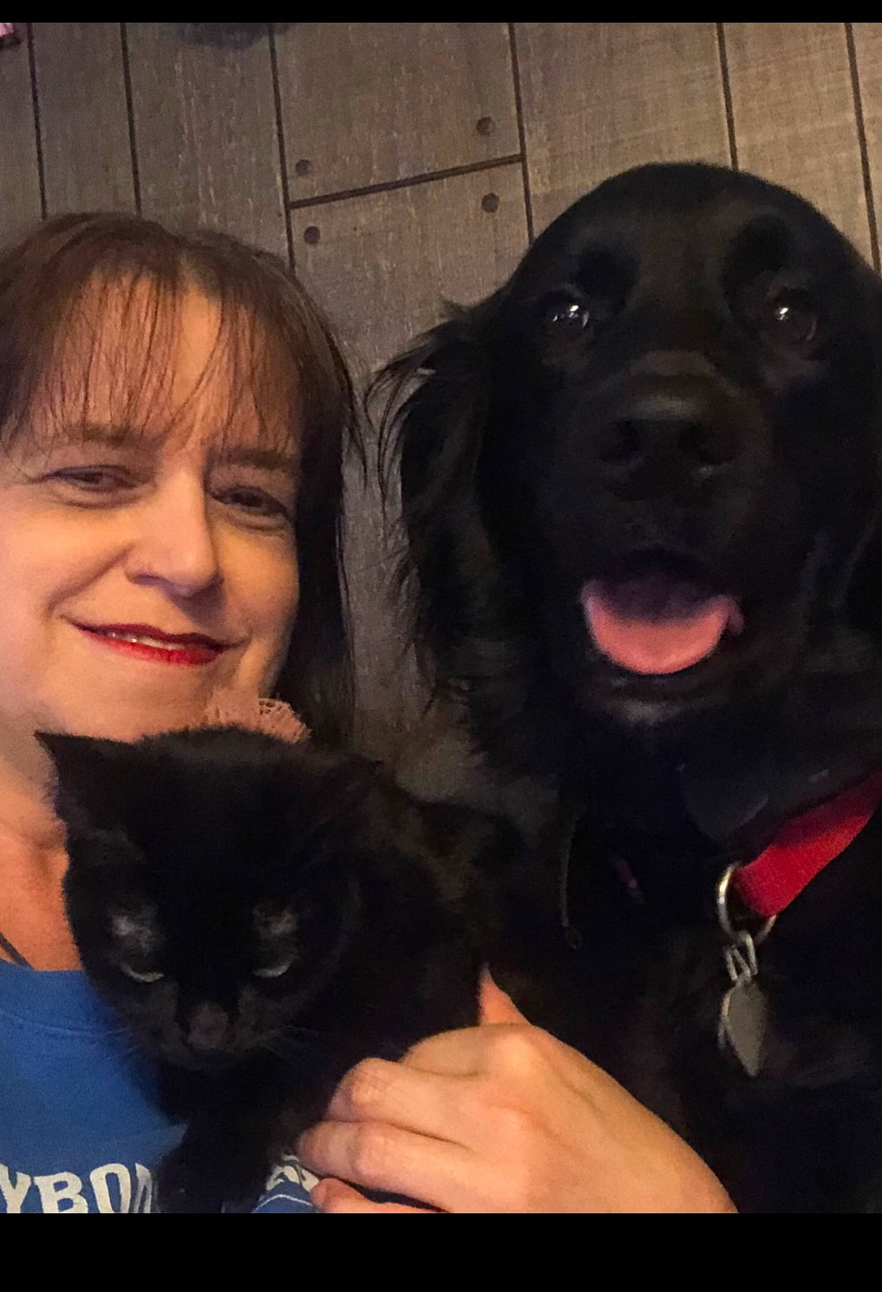 Bret Michael joined the competition — help win amazing prizes! carnivore, cat, companion_dog, dog, dog_breed, ear, eyelash, felidae, formal_wear, fur, gesture, happy, love, mammal, selfie, small_to_medium_sized_cats, smile, snout, vertebrate, whiskers