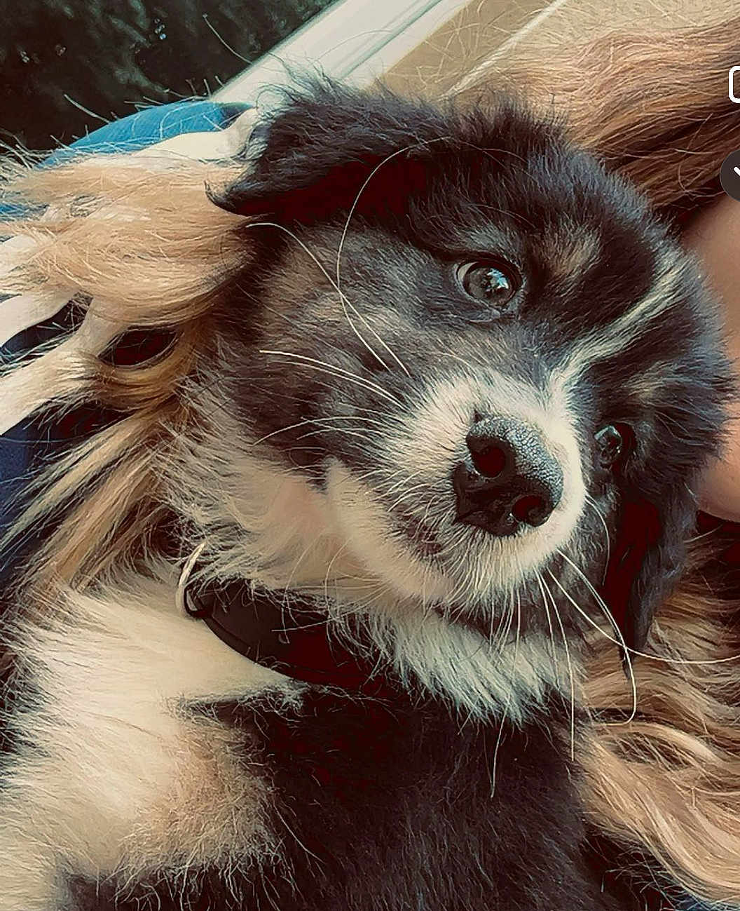 Aiko
