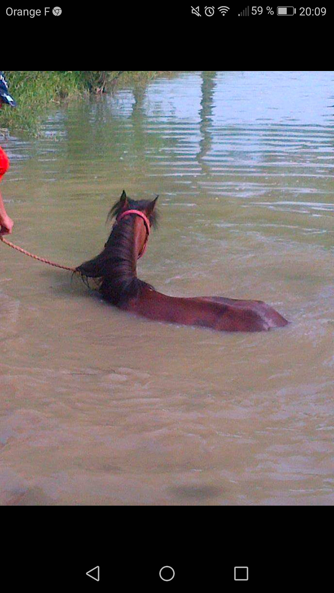 Kangoo a rejoint le concours — aidez-le/la à gagner de superbes lots ! fish, tail