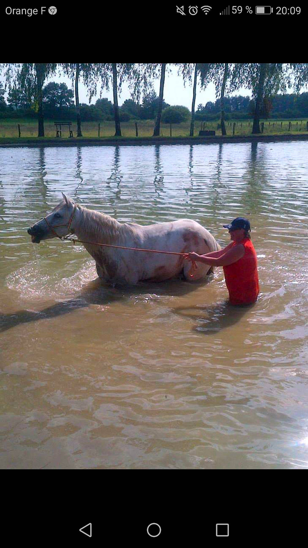 Kiss-cool participe au concours pour gagner de l'argent avec cette photo : wildlife, working_animal