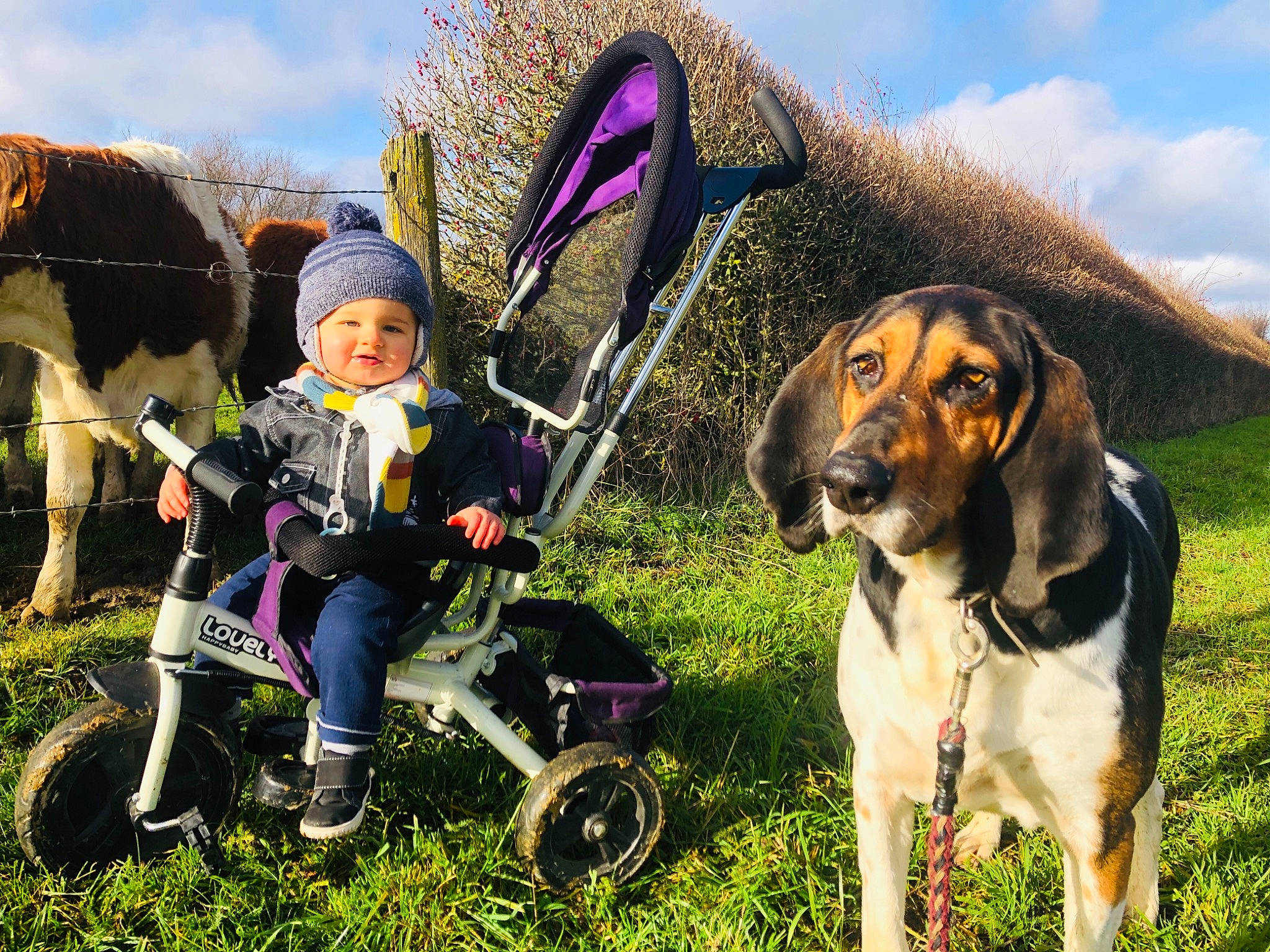 Vadrouille participe au concours pour gagner de l'argent avec cette photo : adventure, carnivore, cloud, companion_dog, dog, dog_breed, fawn, fun, grass, grassland, happy, leash, leisure, people_in_nature, recreation, scent_hound, sky, tire, toddler, wheel