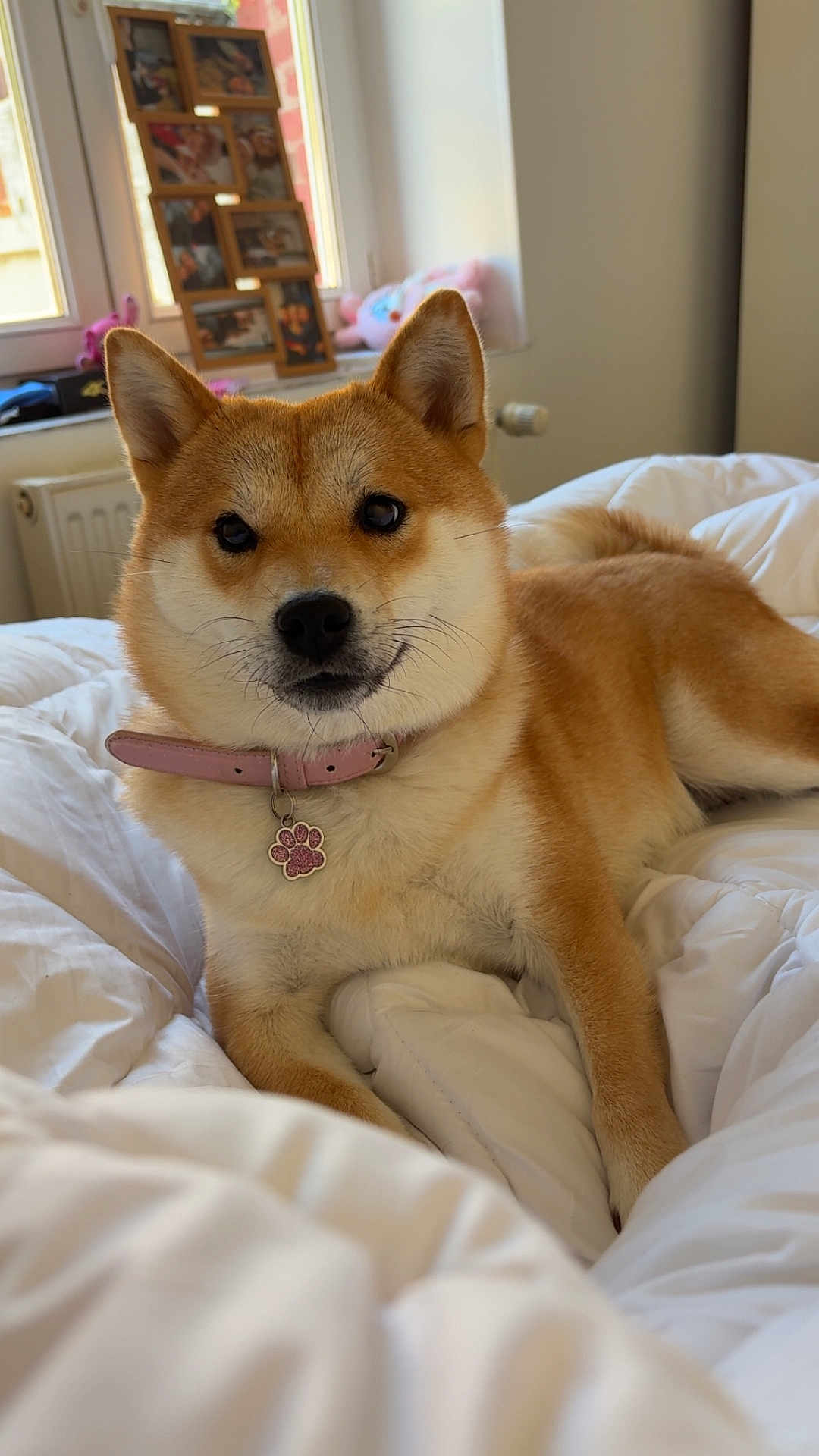 Kira