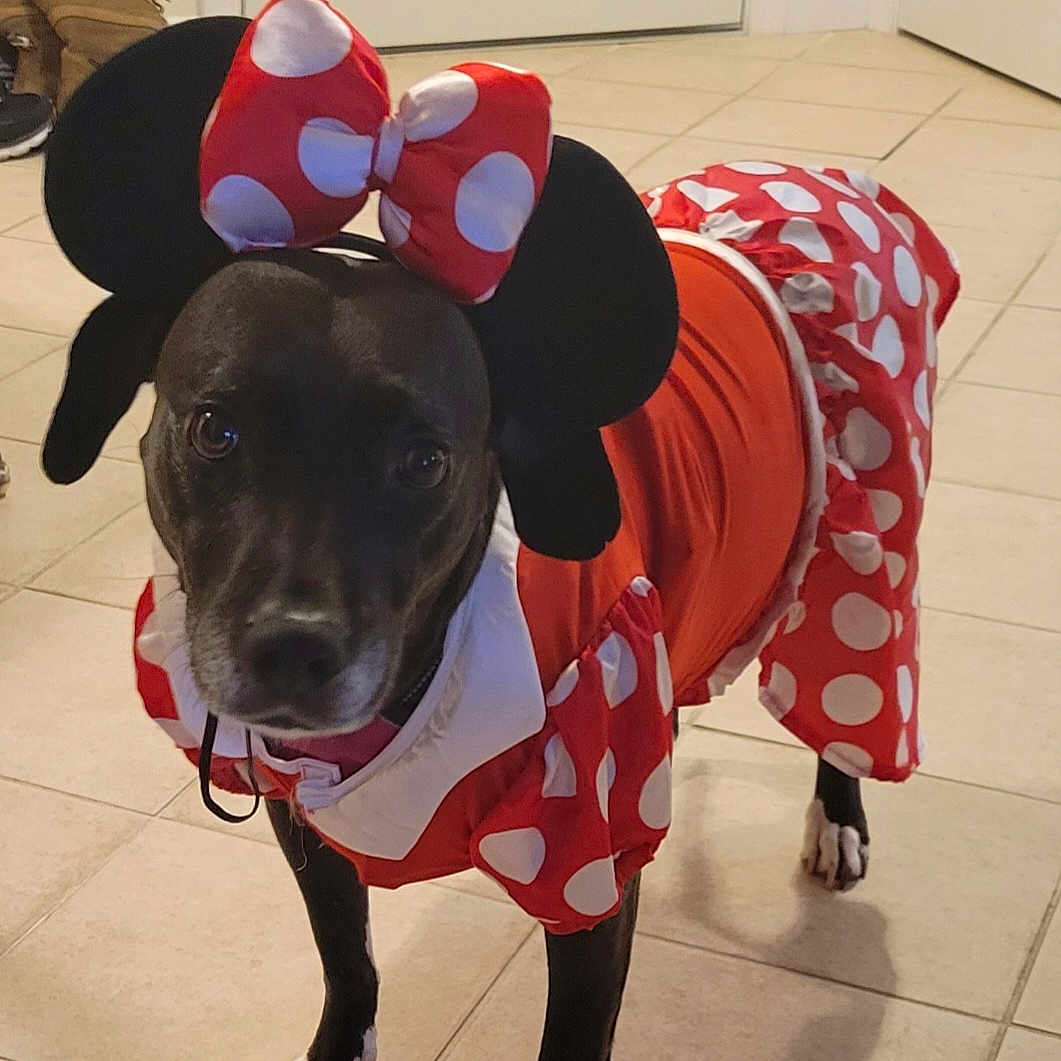 Minnie