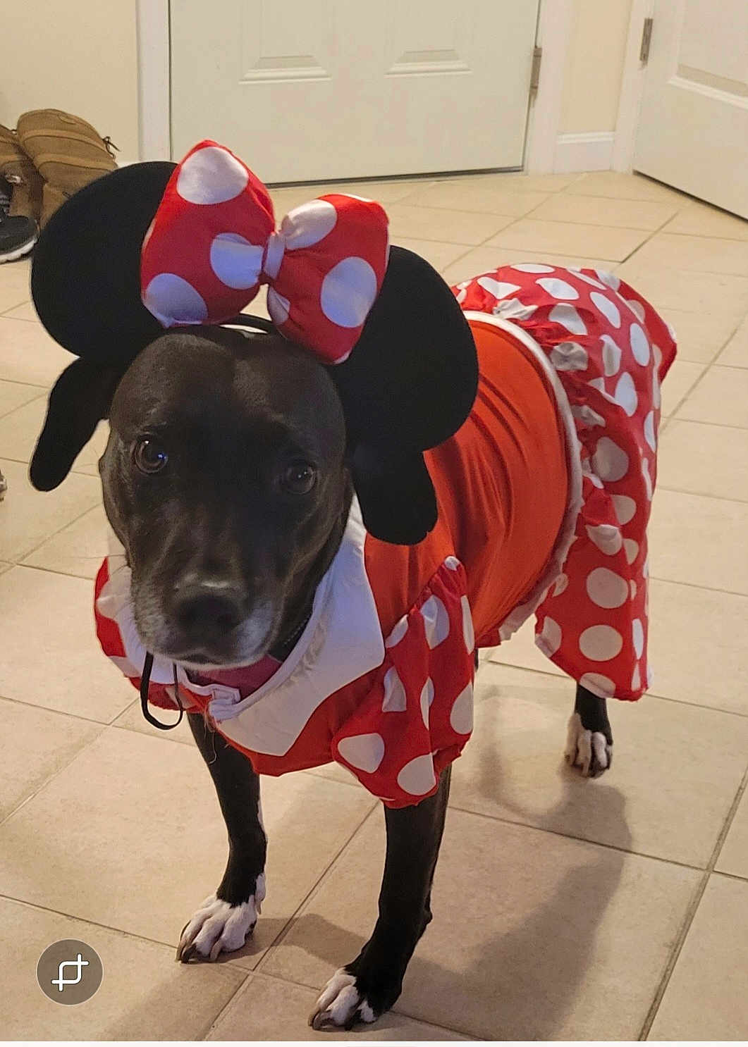 Minnie