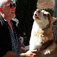 Wislow participe au concours pour gagner de l'argent avec cette photo : animal, dog, expression, fur, garden, happy, holding, husky, interaction, man, nature, outdoor, pet, plant, portrait, smiling, sunglasses, sunlight, tattoo, tree