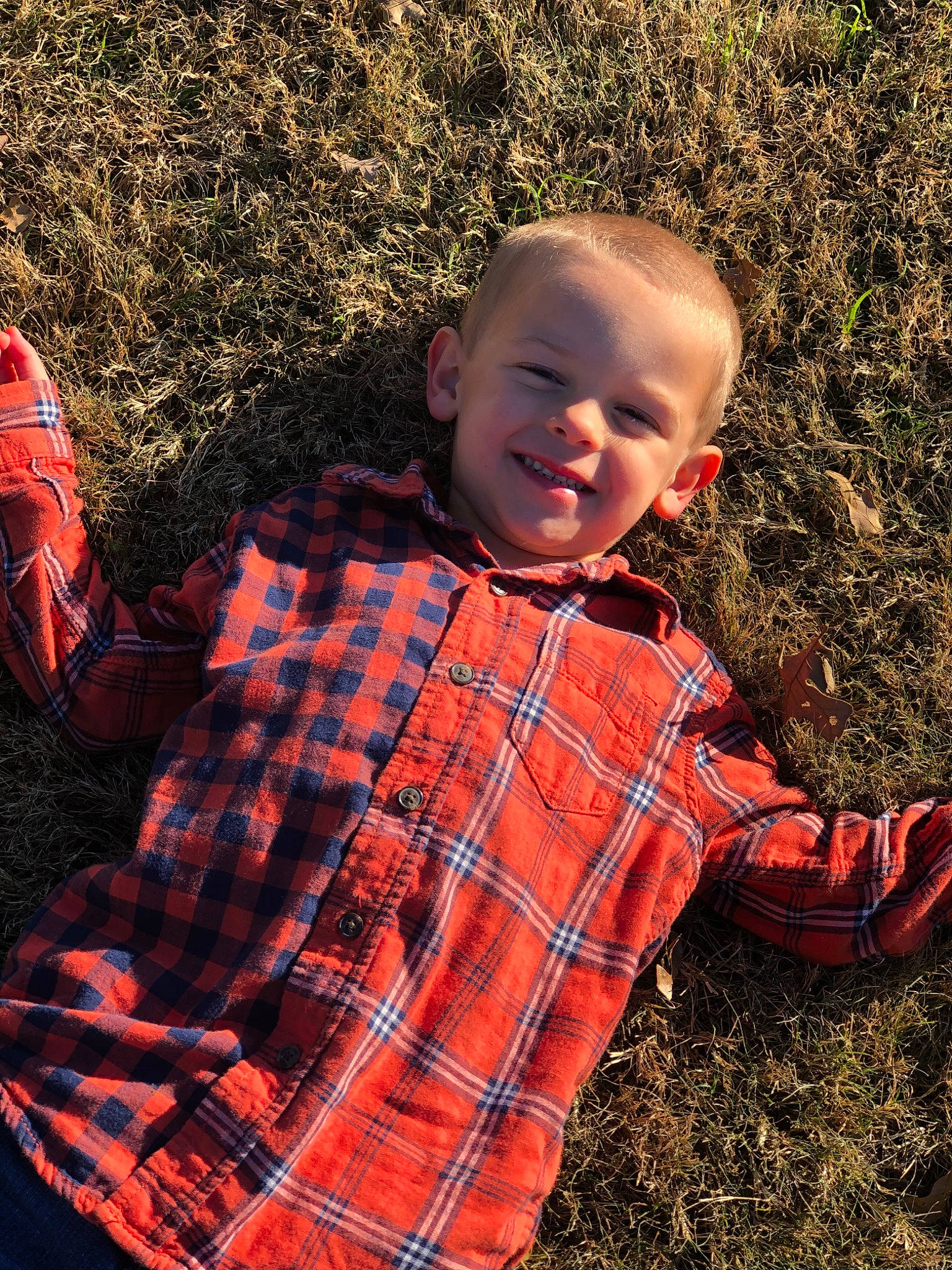 Bentlee joined the competition — help win amazing prizes! adaptation, autumn, child, design, grass, joy, leaf, male, pattern, person, plaid, plant, smile, tartan, textile, toddler, tree