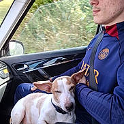 Yvori a rejoint le concours — aidez-le/la à gagner de superbes lots ! dog, person, car, seatbelt, window, glasses, jacket, lap, ear, resting, pet, inside, vehicle, nature, greenery, blur, casual, comfort, travel, companion