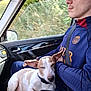 dog, person, car, seatbelt, window, glasses, jacket, lap, ear, resting, pet, inside, vehicle, nature, greenery, blur, casual, comfort, travel, companion