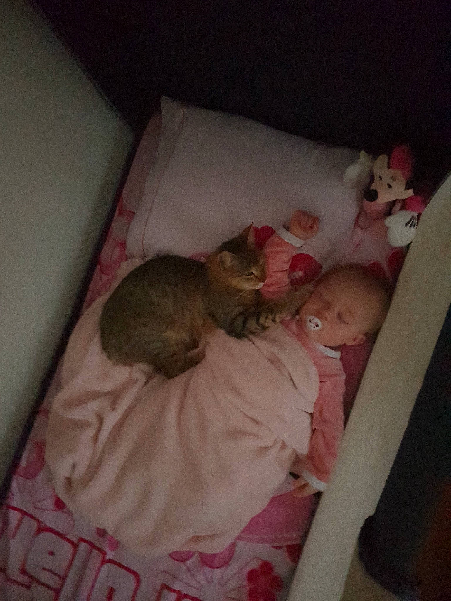 Mävis participe au concours pour gagner de l'argent avec cette photo : baby, baby_sleeping, bed, bedtime, birth, child, comfort, furniture, infant_bed, nap, person, room, skin, sleep, toddler