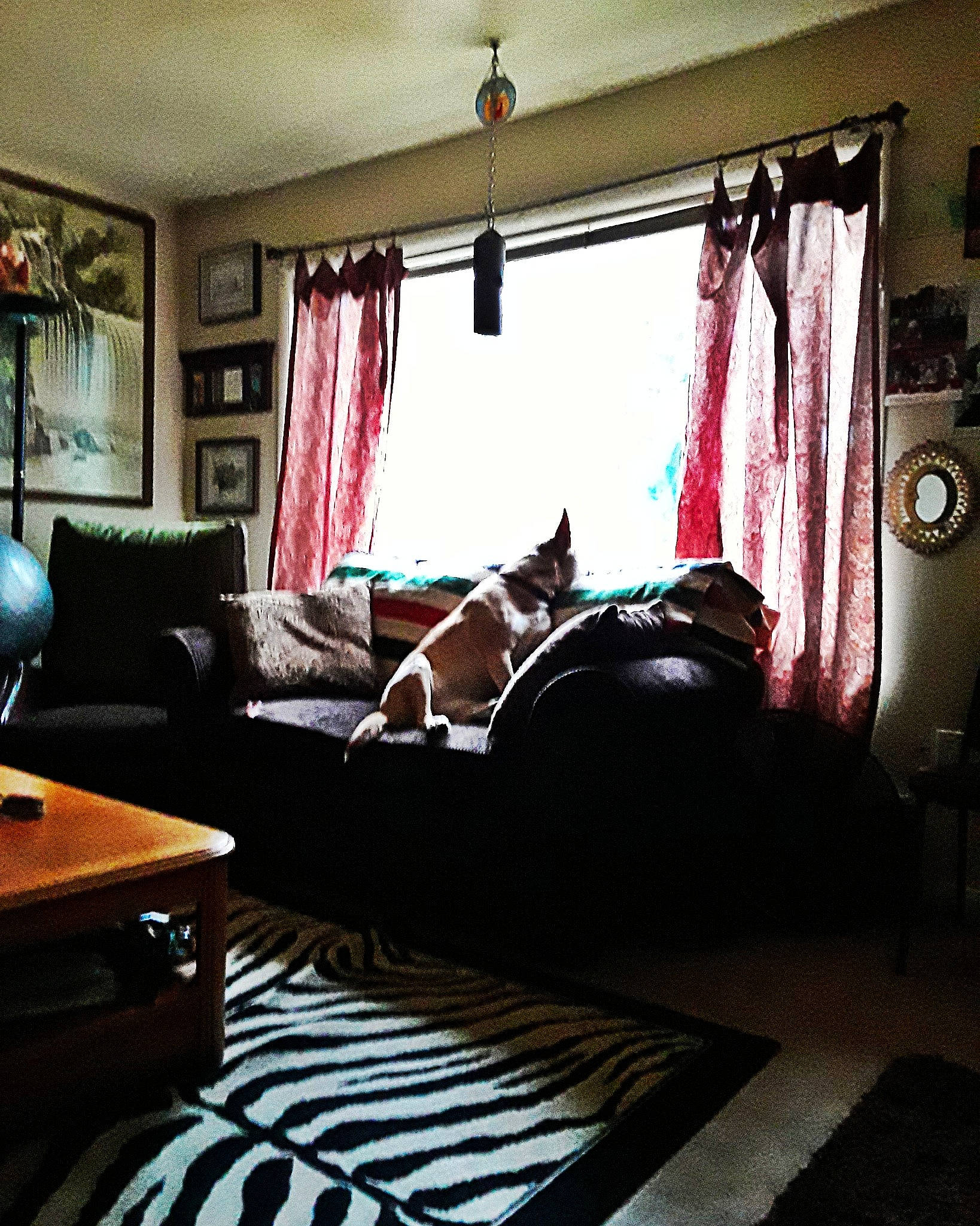 Ladybird is registered to the contest to win money with this photo: bed, bed_frame, bed_sheet, bedding, bedroom, building, couch, curtain, floor, furniture, home, house, interior_design, living_room, property, room, textile, wall, window, window_treatment