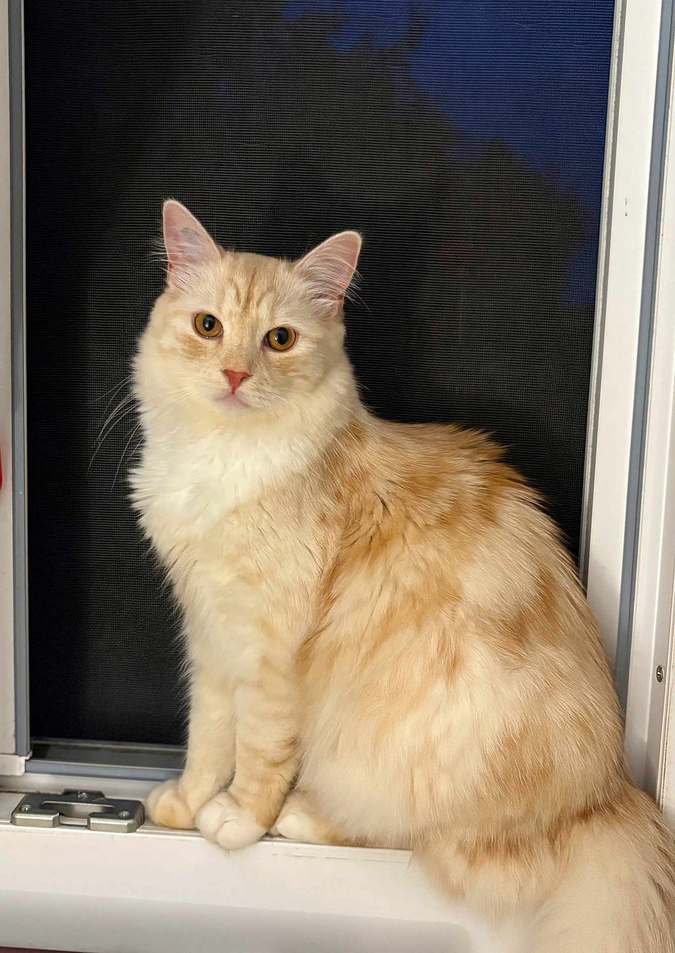 Milo