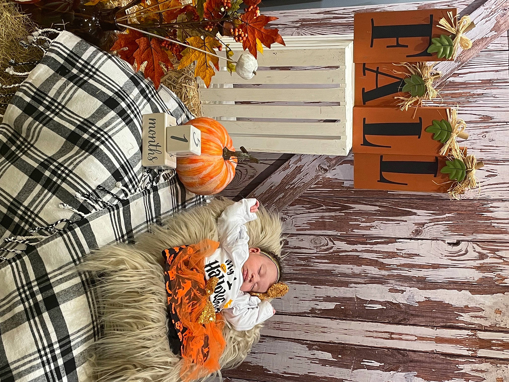 Everla is registered to the contest to win money with this photo: art, bench, calabaza, couch, cucurbita, door, dress, flooring, gourd, grass, hardwood, headwear, line, orange, person, plant, porch, pumpkin, table, tree