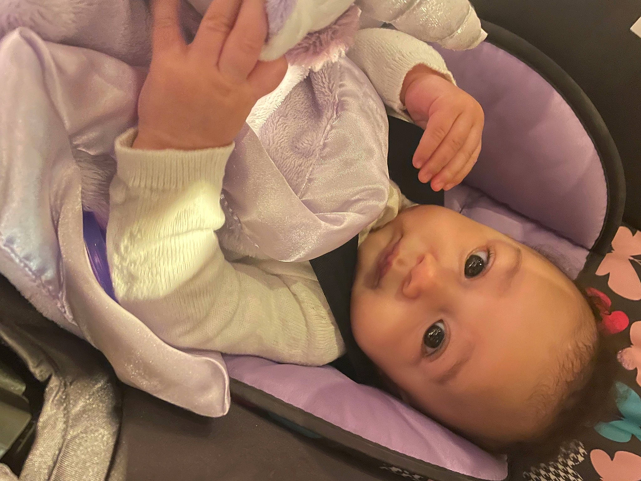 Everla is registered to the contest to win money with this photo: baby, baby_toddler_clothing, cheek, child, comfort, ear, eyelash, finger, gesture, hand, happy, mouth, nail, neck, nose, person, skin, sleeve, thumb, toddler