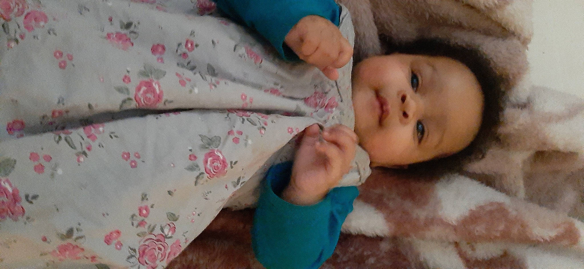 Nayra participe au concours pour gagner de l'argent avec cette photo : baby, baby_toddler_clothing, blue, cheek, child, comfort, hand, happy, human_body, leaf, linens, nose, person, pink, product, skin, sleeve, textile, toddler, tree