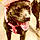 Zula