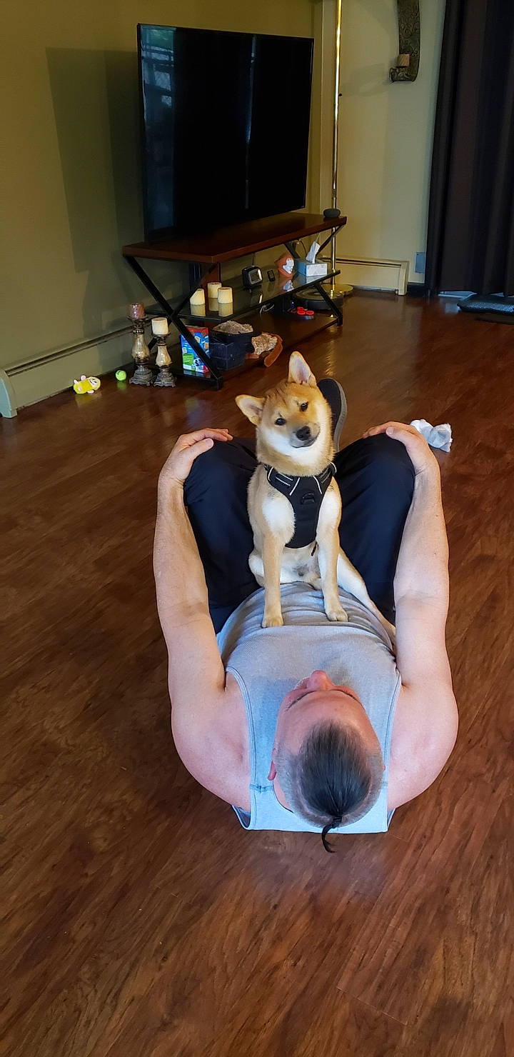 Winston joined the competition — help win amazing prizes! ankle, balance, barefoot, canidae, carnivore, curtain, dog, dog_breed, floor, flooring, foot, hardwood, laminate_flooring, non_sporting_group, television, toe, wood_flooring, wood_stain