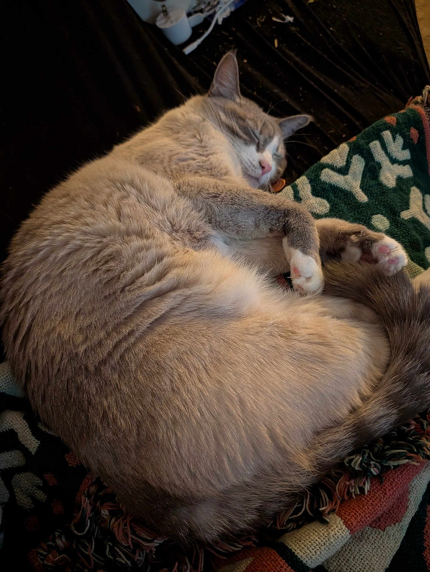 Peaches