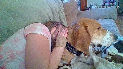 Tucker joined the competition — help win amazing prizes! carnivore, comfort, companion_dog, dog, dog_breed, dog_supply, fawn, fur, guard_dog, nap, paw, puppy_love, retriever, sitting, sporting_group