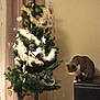 Gypso participe au concours pour gagner de l'argent avec cette photo : cat, christmas_tree, cozy, curious_cat, curtains, decorations, festive, floor, furniture, gray_cat, holiday, holiday_season, home, indoor, ornaments, ottoman, pet, tinsel, wall, white_cat