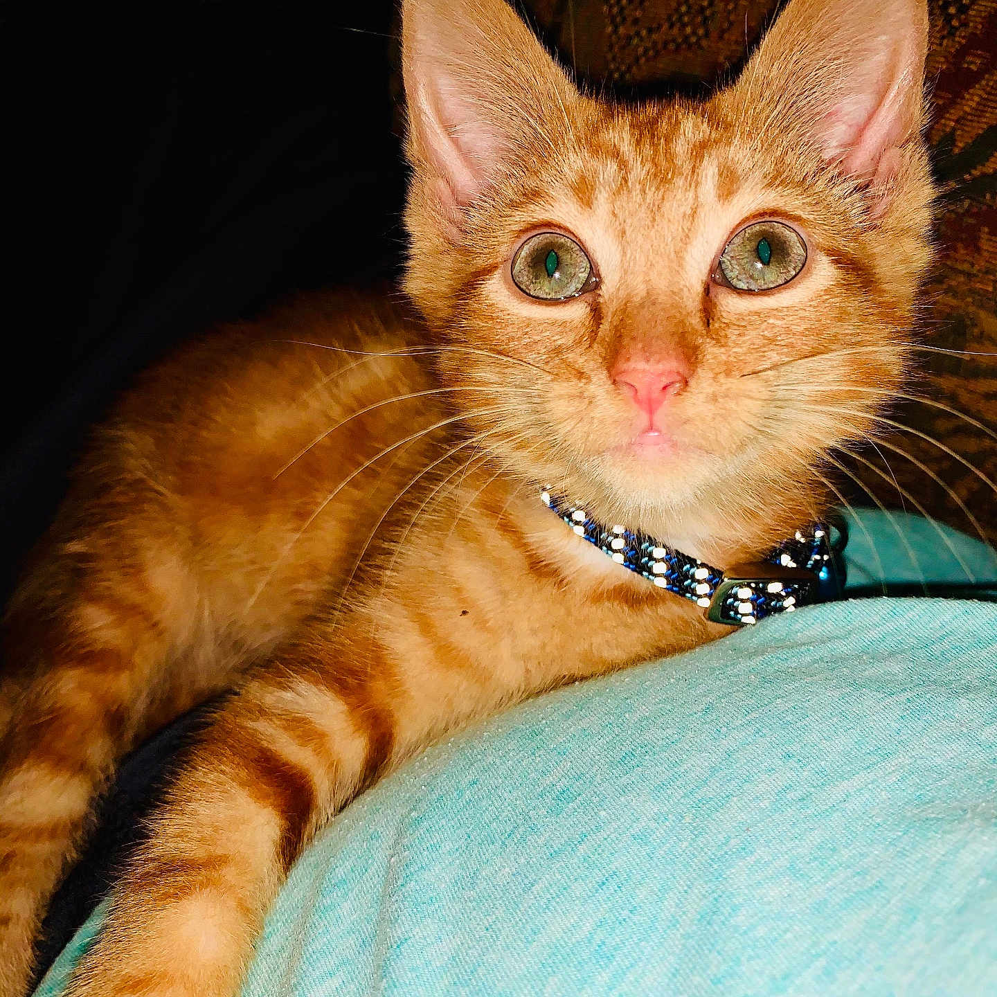 Charlie