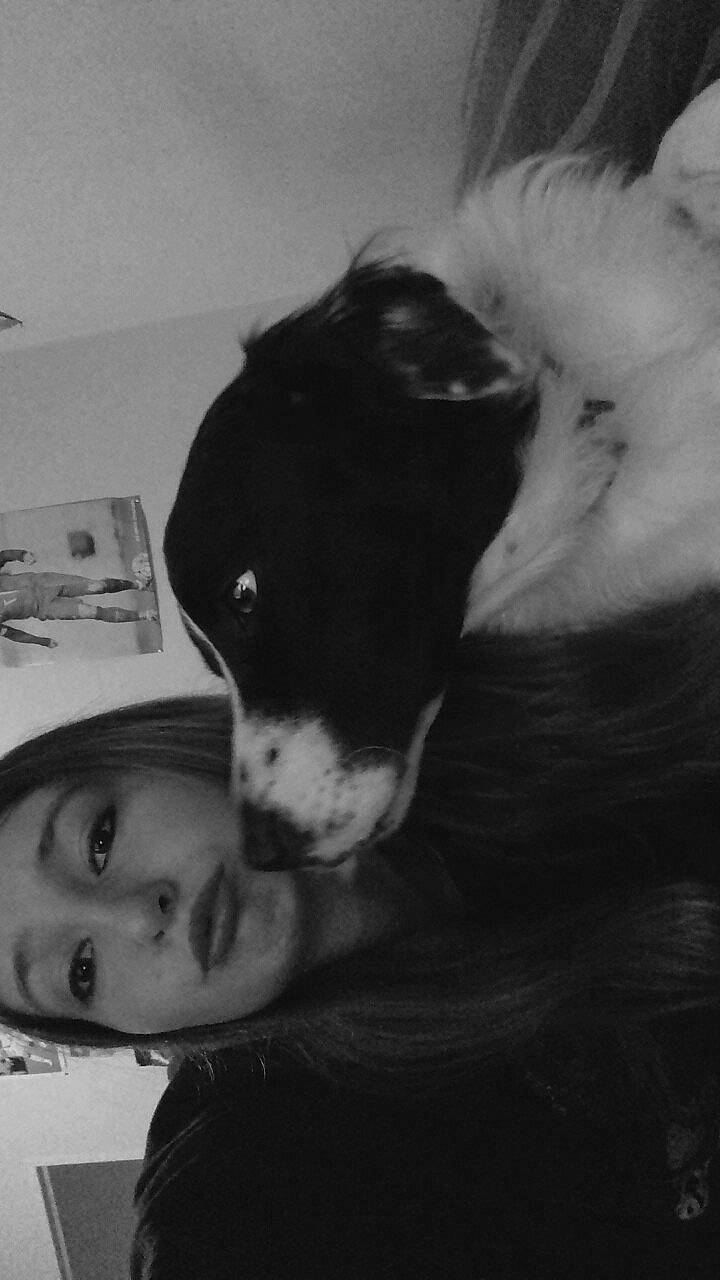 Max participe au concours pour gagner de l'argent avec cette photo : black_and_white, canidae, carnivore, comfort, companion_dog, dog, dog_breed, ear, fun, fur, guard_dog, happy, jaw, monochrome, monochrome_photography, sporting_group, style, whiskers, working_animal