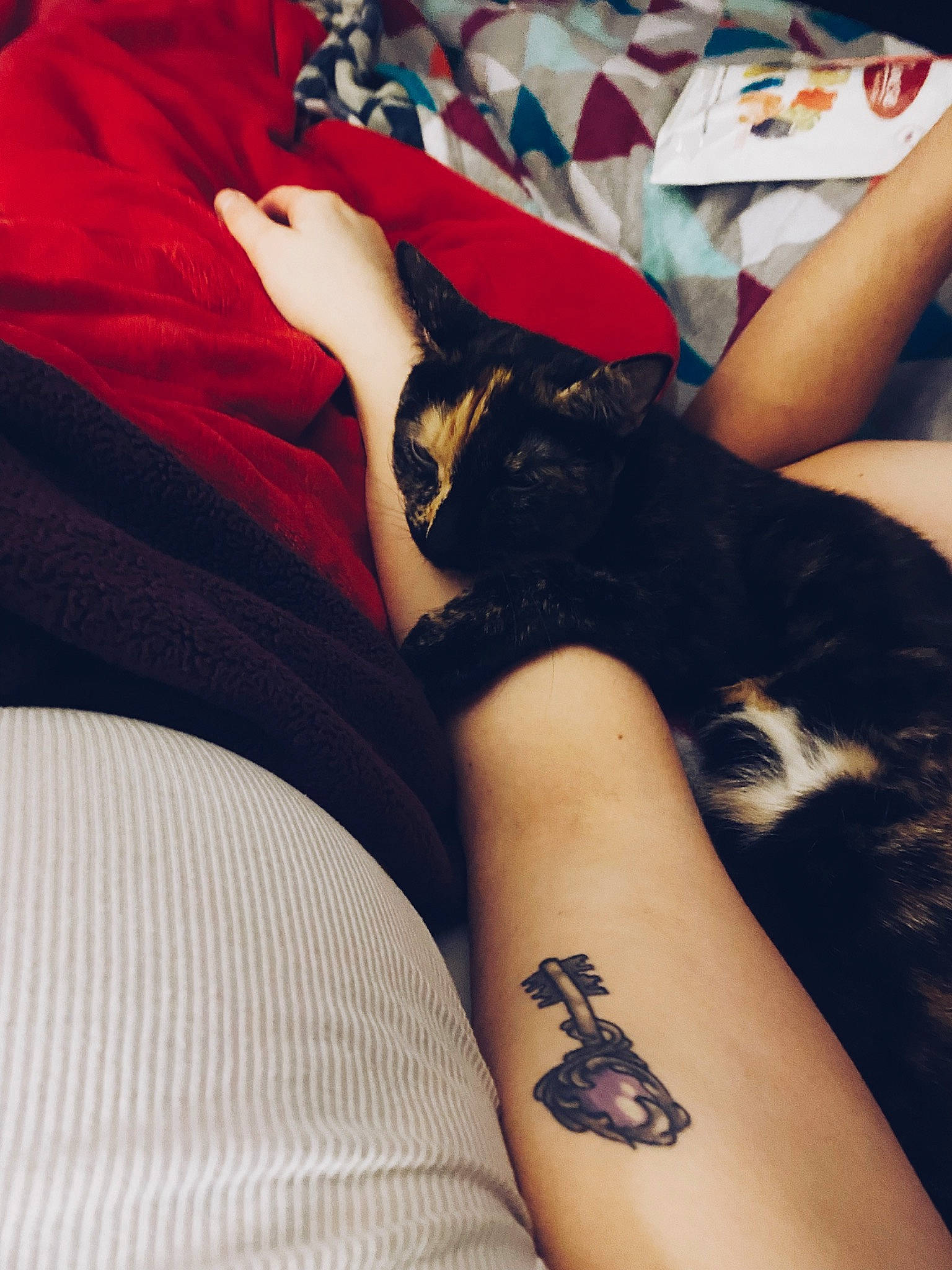 Haley joined the competition — help win amazing prizes! carnivore, comfort, cool, elbow, felidae, finger, gesture, human_body, human_leg, joint, knee, leg, nail, neck, shoulder, sleeve, small_to_medium_sized_cats, tattoo, thigh, wrist
